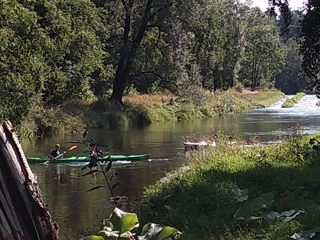IMG_20180908_142507645.jpg